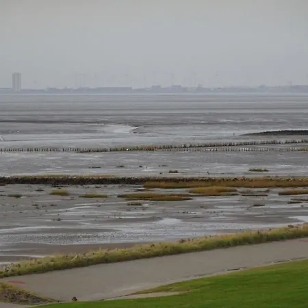 Ferienhaus-Deichblick Direkt An Der Schoenen Nordsee Semesterbostad Friedrichskoog-Spitz